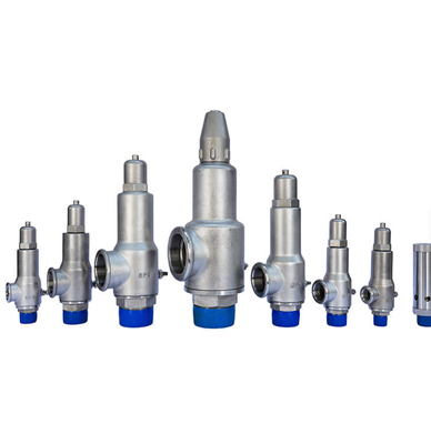 DN50 Safety Valve for Liquid Nitrogen Competitive Price for Pressure Regulation